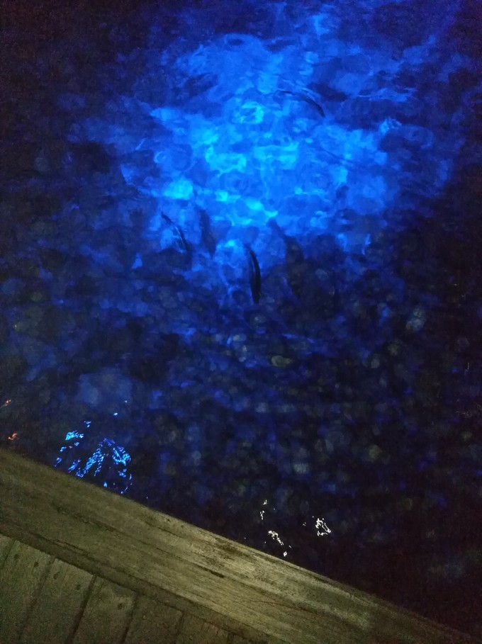 泰姬珍品岛 Taj Exotica Resort